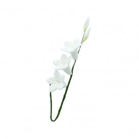 100mm White Jasmine Sugar Flower Spray - Box of 10