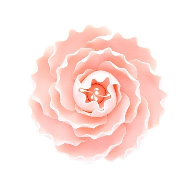 Culpitt Gumpaste Briar Rose Pink - 76mm (3'')