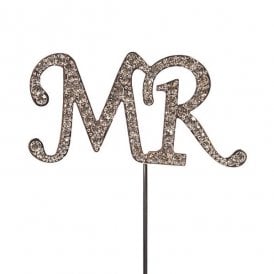 "Mr" Diamante Pick Topper 