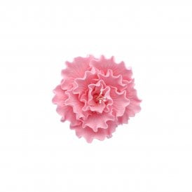 Sugar Briar Rose - Pink