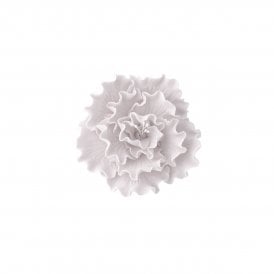 Sugar Briar Rose - White