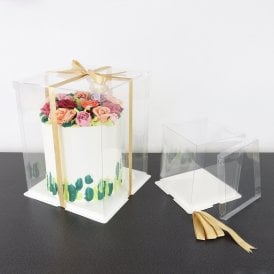 Crystal Cake Display Box - 10 inch