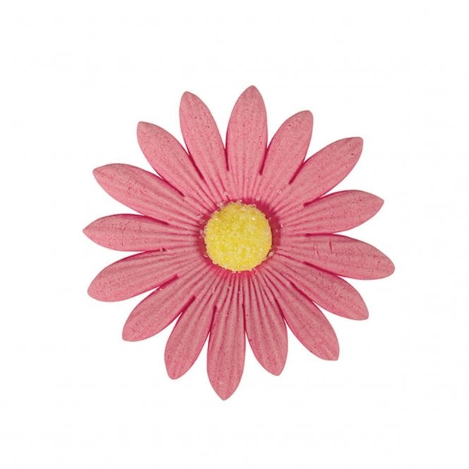 Sugarsoft Sugar Soft Daisy - Pink - Pack of 10