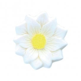 White Sugar Daisies 48 Pack