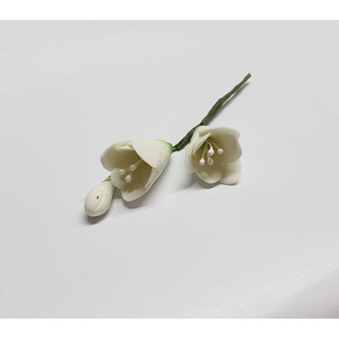 The Cake & Sugarcraft Store Hard Sugar Freesia Spray - White