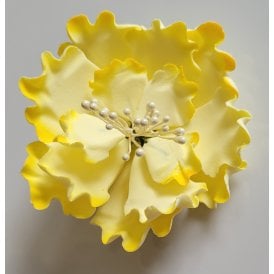 Hard Sugar Peony With Pearl Stamens - 2Tone Lemon/Daffodil
