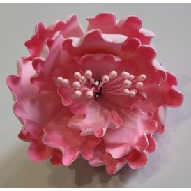 Hard Sugar Peony With Pearl Stamens - 2Tone Pink/Hot Pink Small