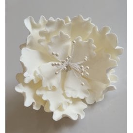 Ivory Sugar Peony With Pearl Stamens  60mm