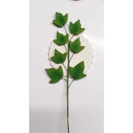 Ivy Leaf Trail - Green Hard Sugar