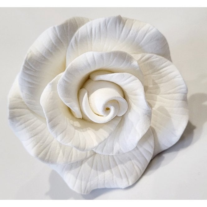 The Cake & Sugarcraft Store Peace Rose Head - 55mm - White