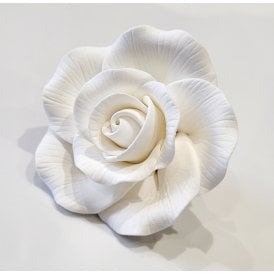 Peace Rose Head - 65mm - White