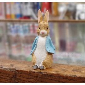 Peter Rabbit Cake Topper