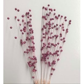 Plum Pearl Stems Pack of 12