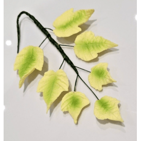 Sugar Yellow Green  Ivy Leaves Trail
