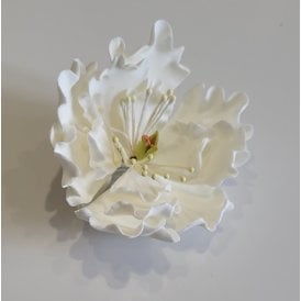 White Sugar Peony Head - Natural Stamens 75mm 