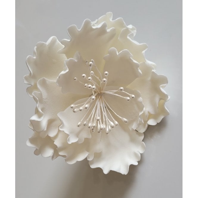The Cake & Sugarcraft Store White Sugar Peony With Pearl Stamens - 60mm
