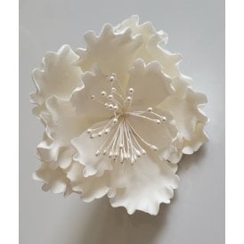 White Sugar Peony With Pearl Stamens - 60mm